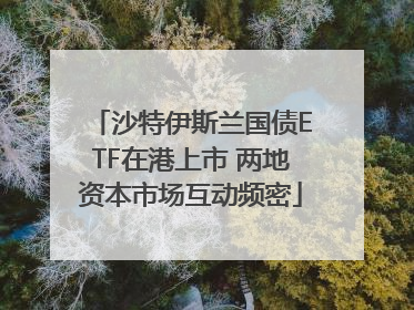 沙特伊斯兰国债ETF在港上市 两地资本市场互动频密