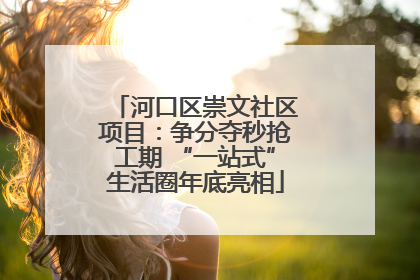 河口区崇文社区项目：争分夺秒抢工期 “一站式”生活圈年底亮相