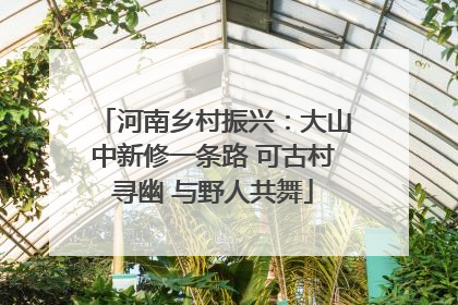 河南乡村振兴：大山中新修一条路 可古村寻幽 与野人共舞