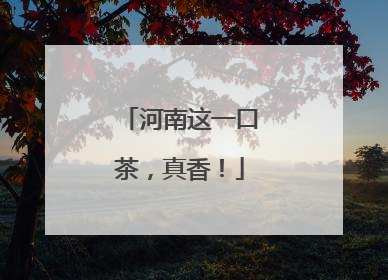 河南这一口茶，真香！