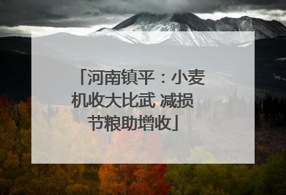 河南镇平：小麦机收大比武 减损节粮助增收