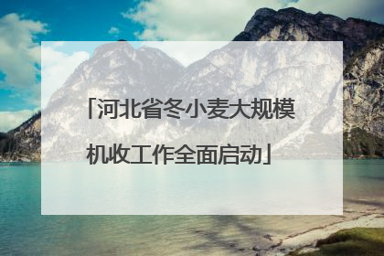 河北省冬小麦大规模机收工作全面启动