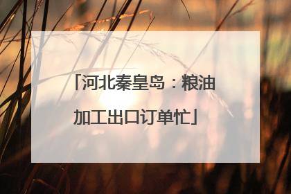 河北秦皇岛：粮油加工出口订单忙