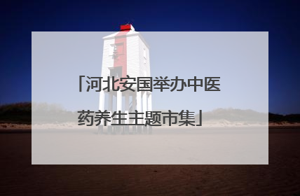 河北安国举办中医药养生主题市集