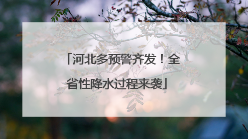 河北多预警齐发！全省性降水过程来袭