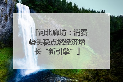 河北廊坊：消费势头稳点燃经济增长“新引擎”