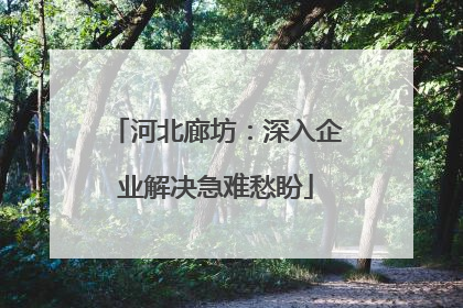 河北廊坊：深入企业解决急难愁盼