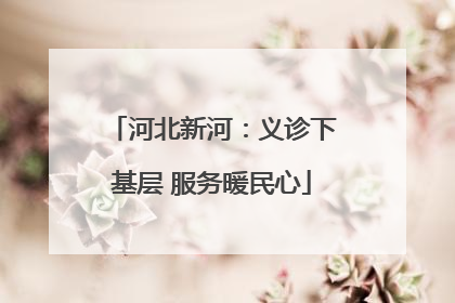 河北新河：义诊下基层 服务暖民心