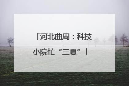 河北曲周：科技小院忙“三夏”