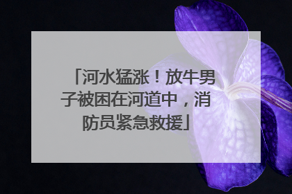 河水猛涨！放牛男子被困在河道中，消防员紧急救援