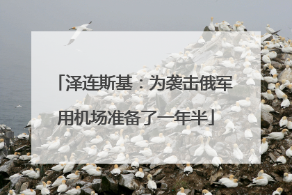 泽连斯基：为袭击俄军用机场准备了一年半