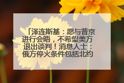 泽连斯基：愿与普京进行会晤，不希望美方退出谈判！消息人士：俄方停火条件包括北约“书面”保证不东扩