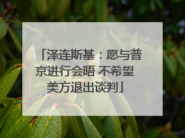泽连斯基：愿与普京进行会晤 不希望美方退出谈判