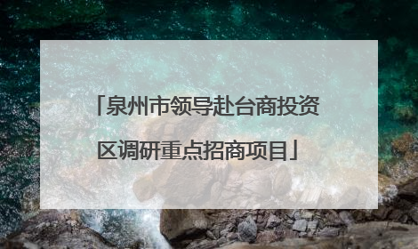 泉州市领导赴台商投资区调研重点招商项目