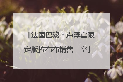 法国巴黎：卢浮宫限定版拉布布销售一空