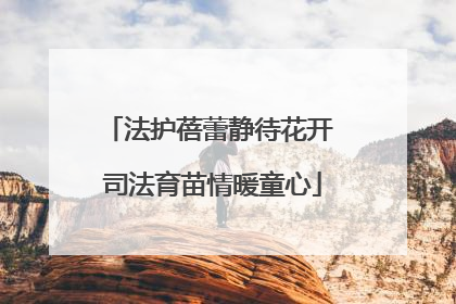 法护蓓蕾静待花开 司法育苗情暖童心