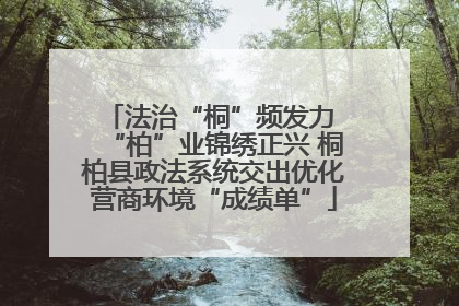 法治“桐”频发力 “柏”业锦绣正兴 桐柏县政法系统交出优化营商环境“成绩单”