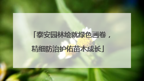 泰安园林绘就绿色画卷，精细防治护佑苗木成长