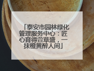 泰安市园林绿化管理服务中心：匠心育得萱草盛，一抹橙黄醉人间