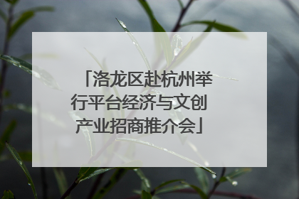洛龙区赴杭州举行平台经济与文创产业招商推介会