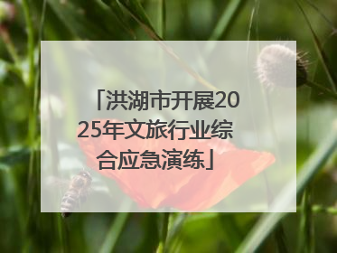 洪湖市开展2025年文旅行业综合应急演练