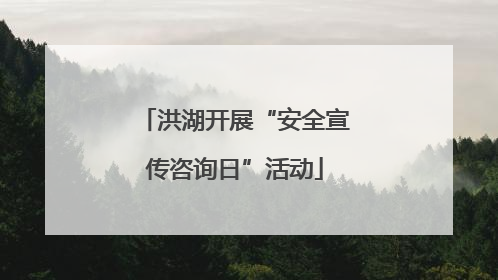 洪湖开展“安全宣传咨询日”活动