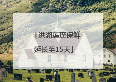 洪湖莲蓬保鲜延长至15天