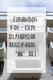 济南市历下区：以共治力量绘就基层矛调新“枫”景