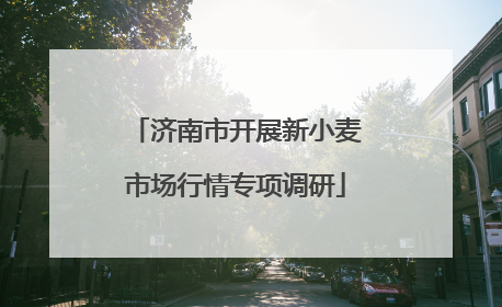 济南市开展新小麦市场行情专项调研