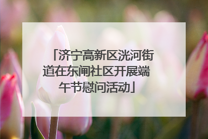 济宁高新区洸河街道在东闸社区开展端午节慰问活动