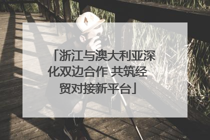 浙江与澳大利亚深化双边合作 共筑经贸对接新平台