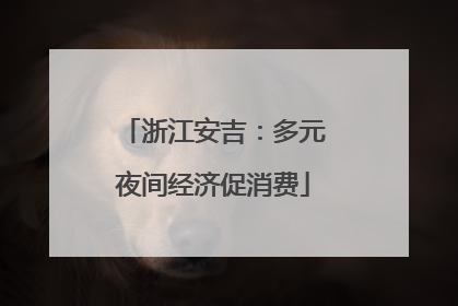 浙江安吉：多元夜间经济促消费