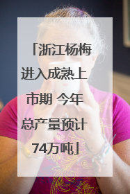 浙江杨梅进入成熟上市期 今年总产量预计74万吨