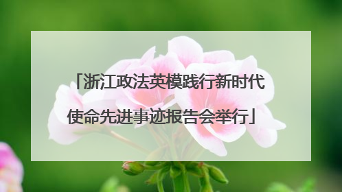 浙江政法英模践行新时代使命先进事迹报告会举行