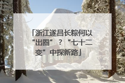 浙江遂昌长粽何以“出圈”？“七十二变”中探新路