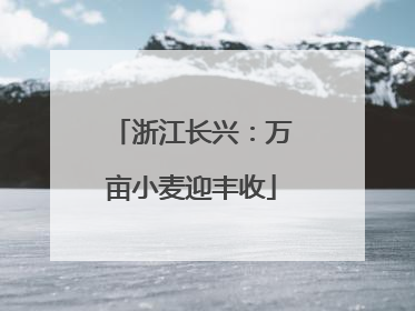 浙江长兴：万亩小麦迎丰收