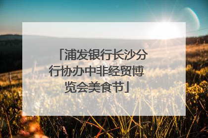浦发银行长沙分行协办中非经贸博览会美食节
