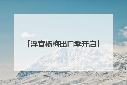 浮宫杨梅出口季开启