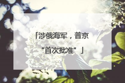 涉俄海军，普京“首次批准”