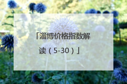 淄博价格指数解读（5-30）