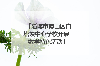 淄博市博山区白塔镇中心学校开展数学特色活动