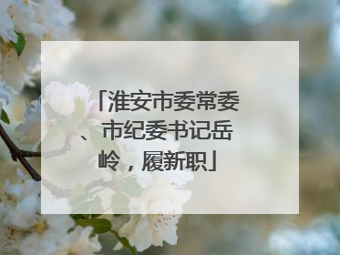淮安市委常委、市纪委书记岳岭，履新职