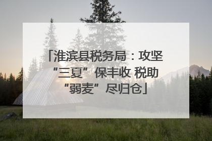 淮滨县税务局：攻坚“三夏”保丰收 税助“弱麦”尽归仓