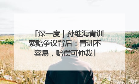 深一度｜孙继海青训索赔争议背后：青训不容易，赔偿可仲裁