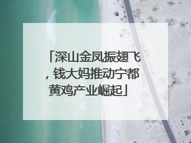 深山金凤振翅飞，钱大妈推动宁都黄鸡产业崛起