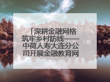 深耕金融网格 筑牢乡村防线——中荷人寿大连分公司开展金融教育网格化宣传活动