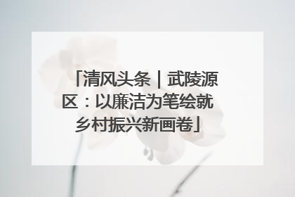 清风头条｜武陵源区：以廉洁为笔绘就乡村振兴新画卷