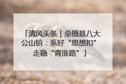 清风头条｜桑植县八大公山镇：系好“思想扣” 走稳“青廉路”