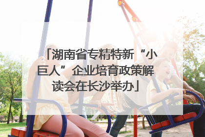 湖南省专精特新“小巨人”企业培育政策解读会在长沙举办