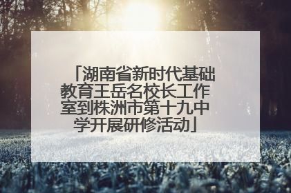 湖南省新时代基础教育王岳名校长工作室到株洲市第十九中学开展研修活动